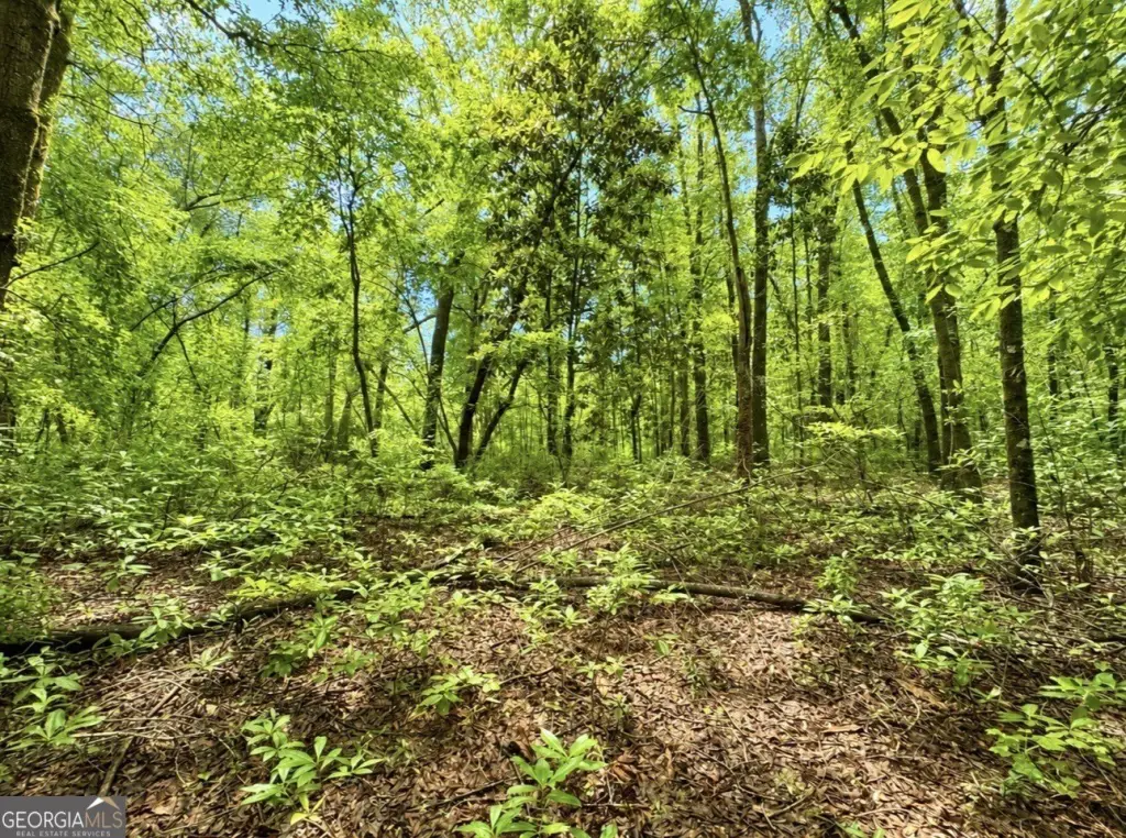 Picture 24