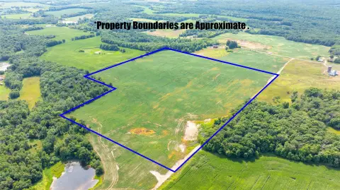 Agricultural Land Parcel