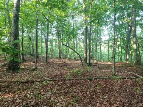 Evington Wooded Acres For Sale