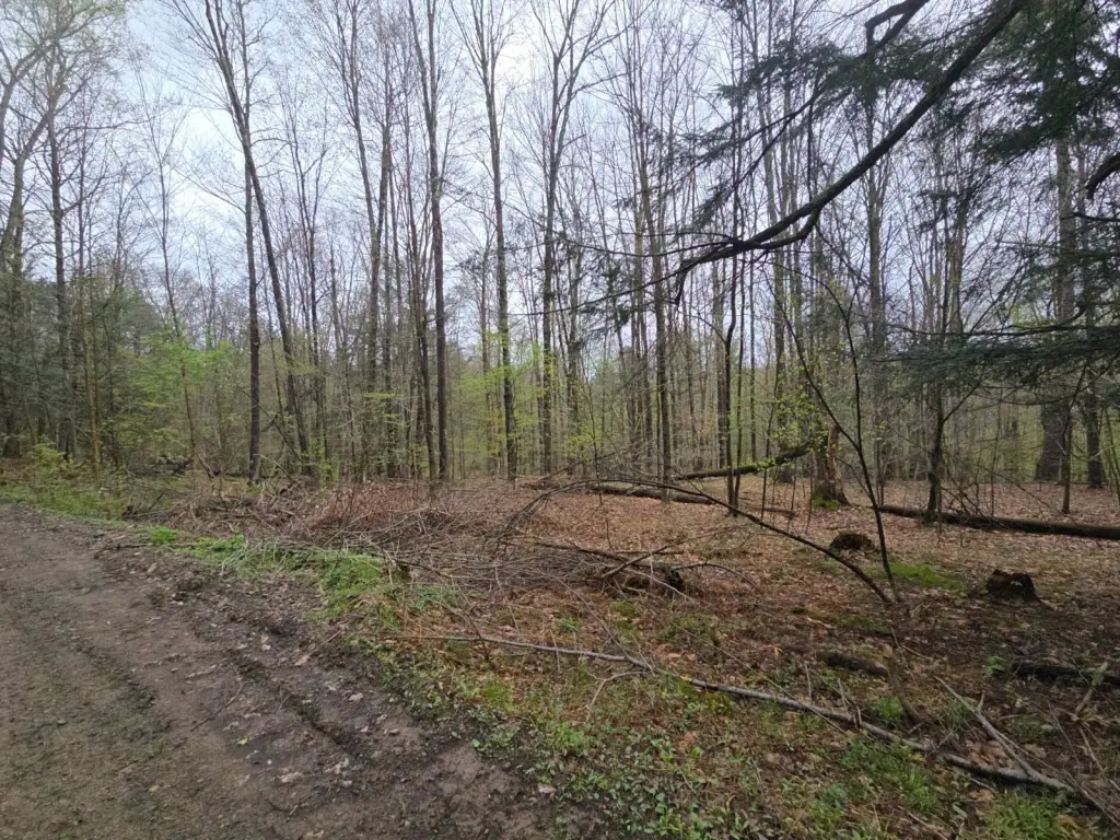 Picture 13