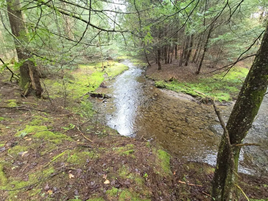 Picture 26