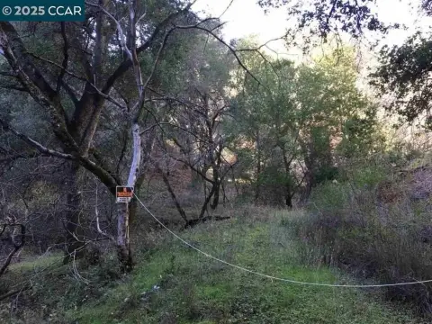 Alamo Land Parcel For Sale