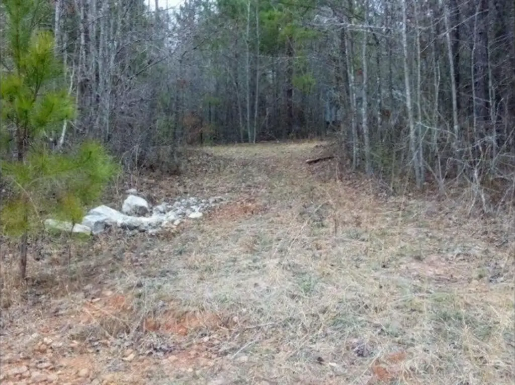 Picture 2