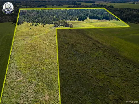 Wooded Hunting Land with Road Frontage