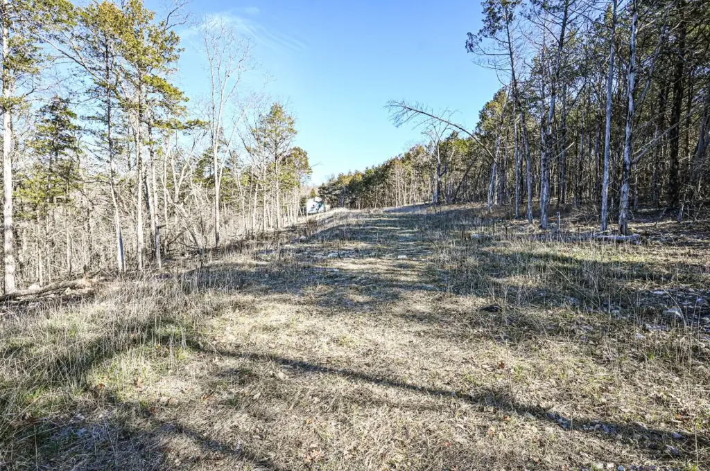 Picture 14