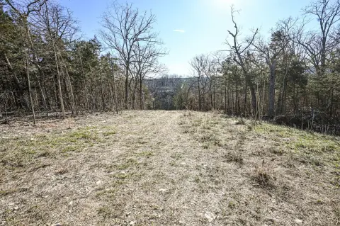 80 Acres Near Lake Taneycomo
