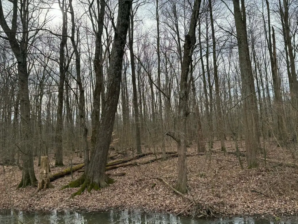 Picture 2