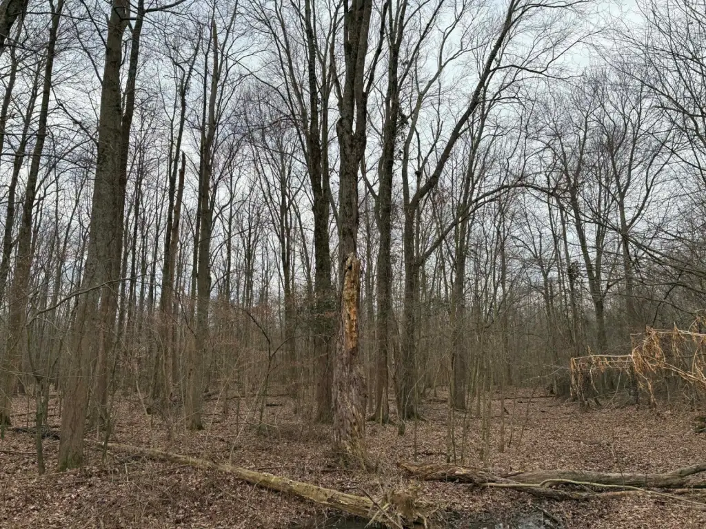 Picture 3