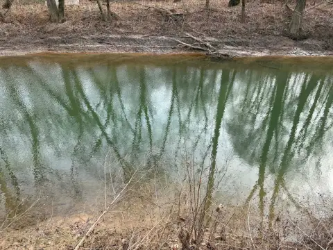 Wooded Waterfront Land