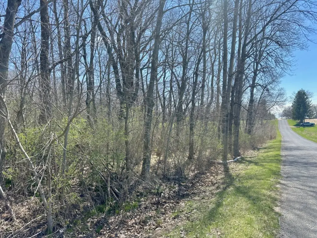 Picture 40