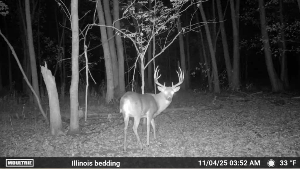 Picture 3