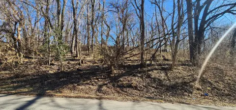 Wooded Lot in Vinton, VA