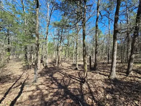 3 Acres Near National Forest