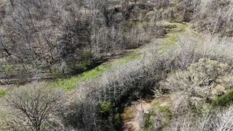 Vicksburg Vacant Hunting Land