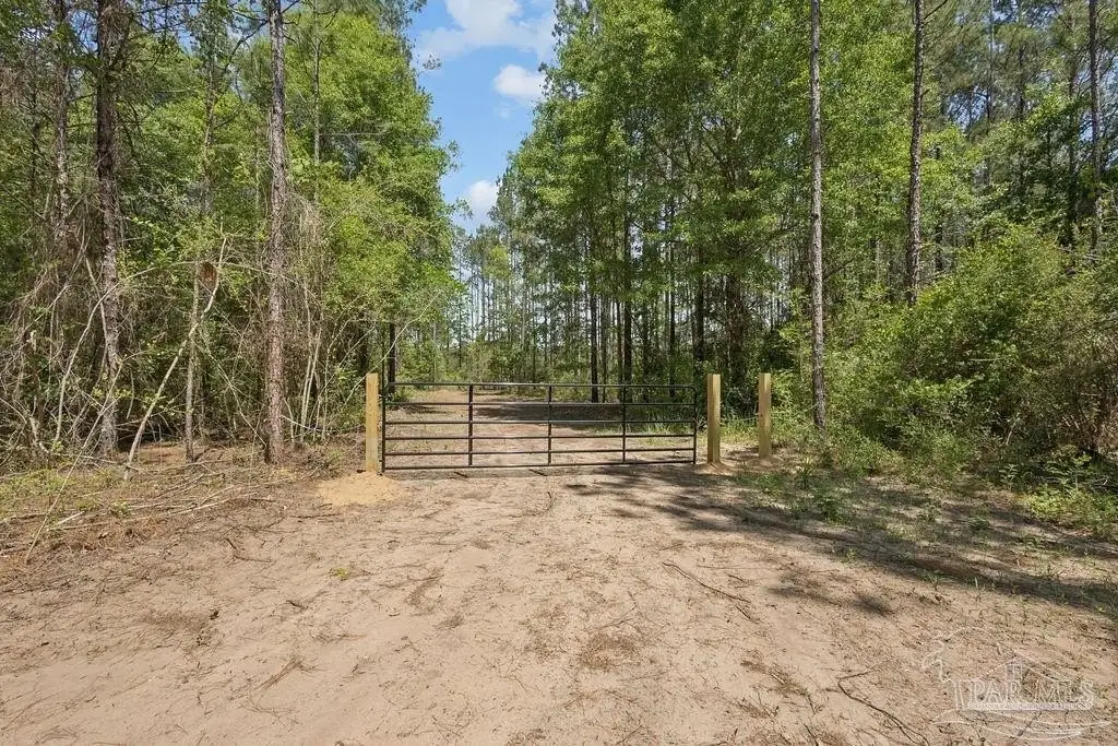 Picture 6