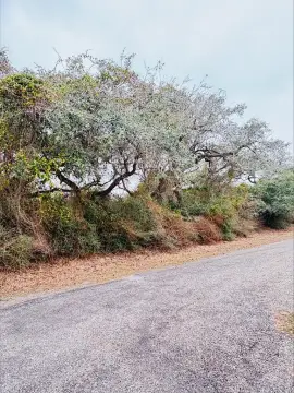 Residential Lot in Holiday Beach