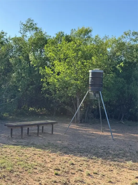 Picture 16
