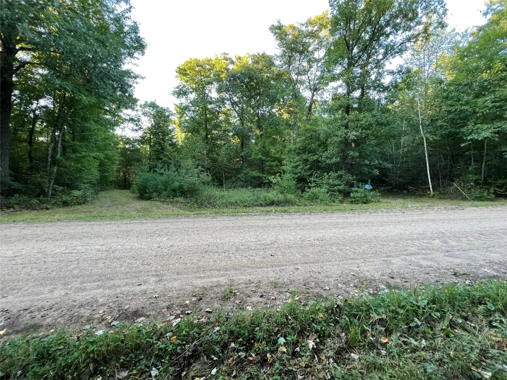 Picture 20
