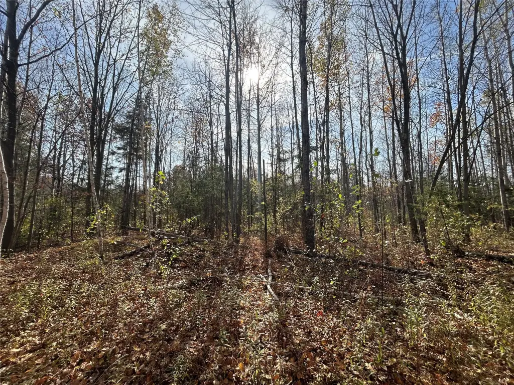 Picture 3
