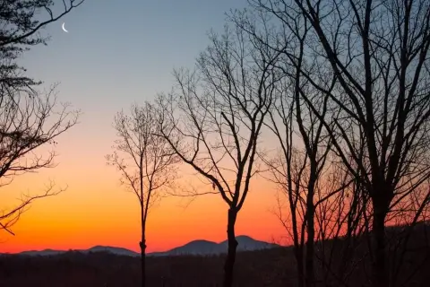 Dahlonega Plateau Land Opportunity