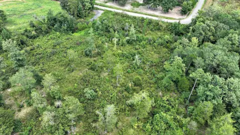 Mena, Arkansas 10-Acre Property