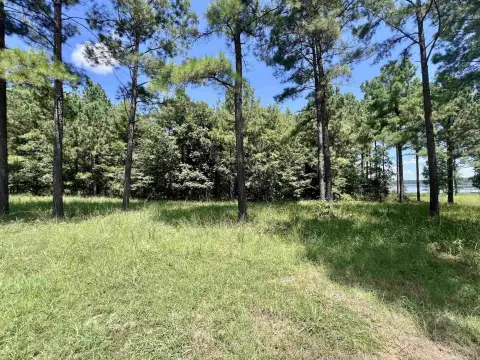 Lakefront Residential Lot in Lewisville