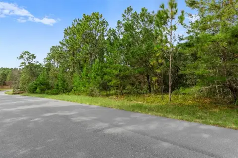 Vacant Land in Citrus Springs