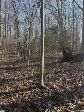 Lake Secession Tranquil Acreage