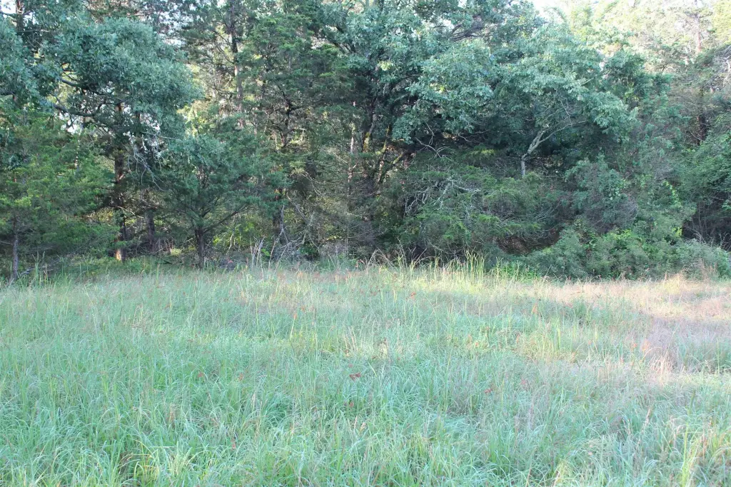 Picture 36