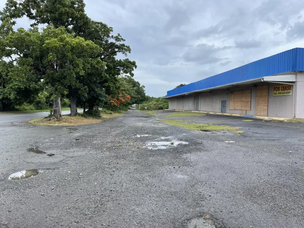 Picture 25