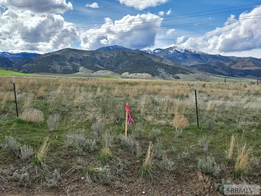 Picture 28