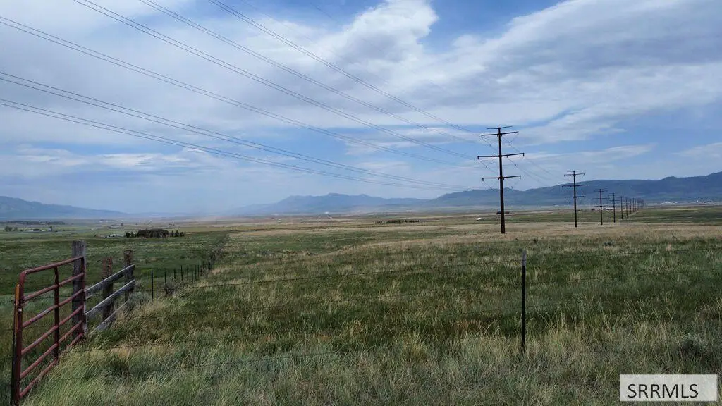 Picture 46