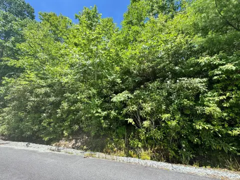 Vacant Land in Gated Community