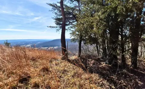 South Pittsburg Bluff Estate Land
