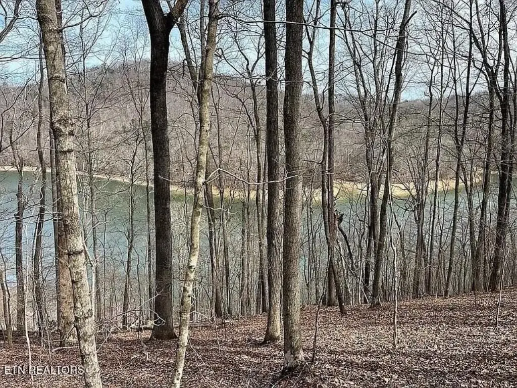 Picture 14