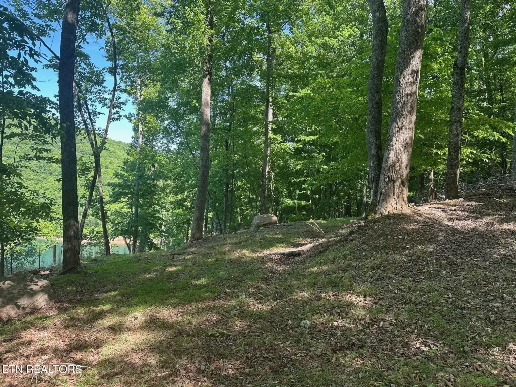 Picture 7