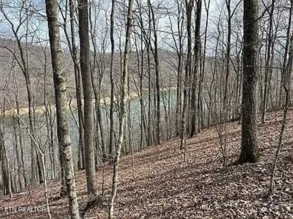 Picture 2
