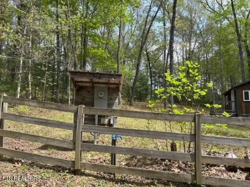 Picture 11
