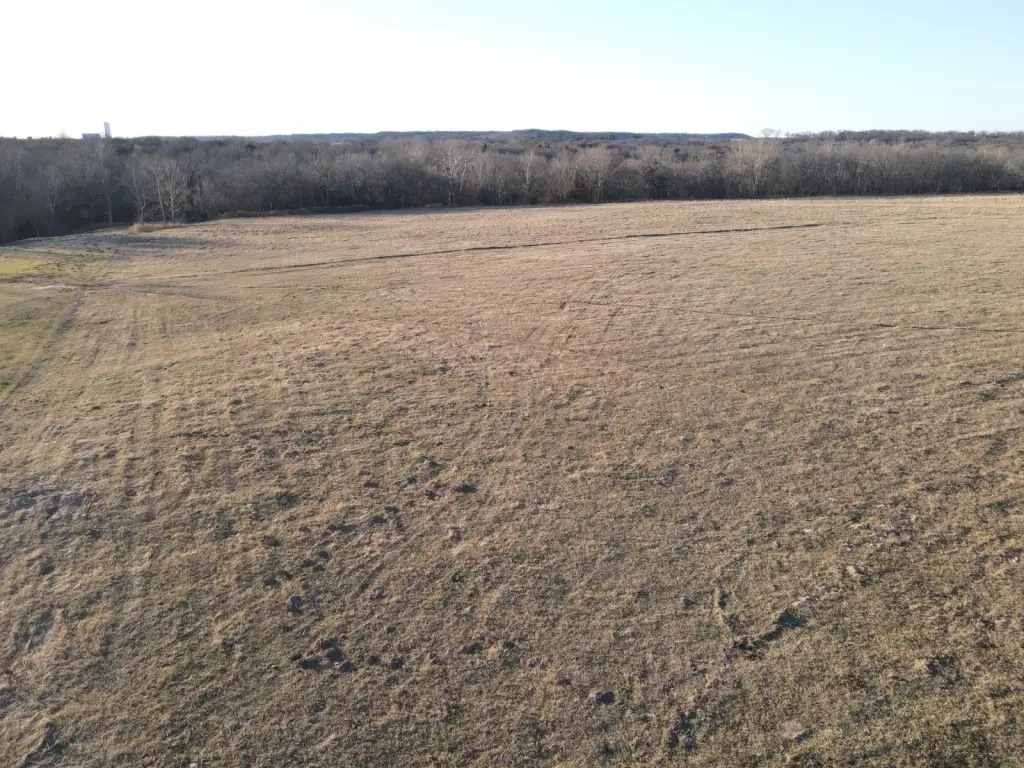 Picture 5