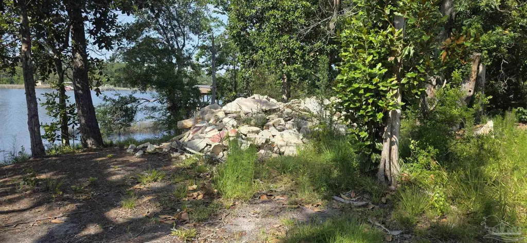 Picture 19