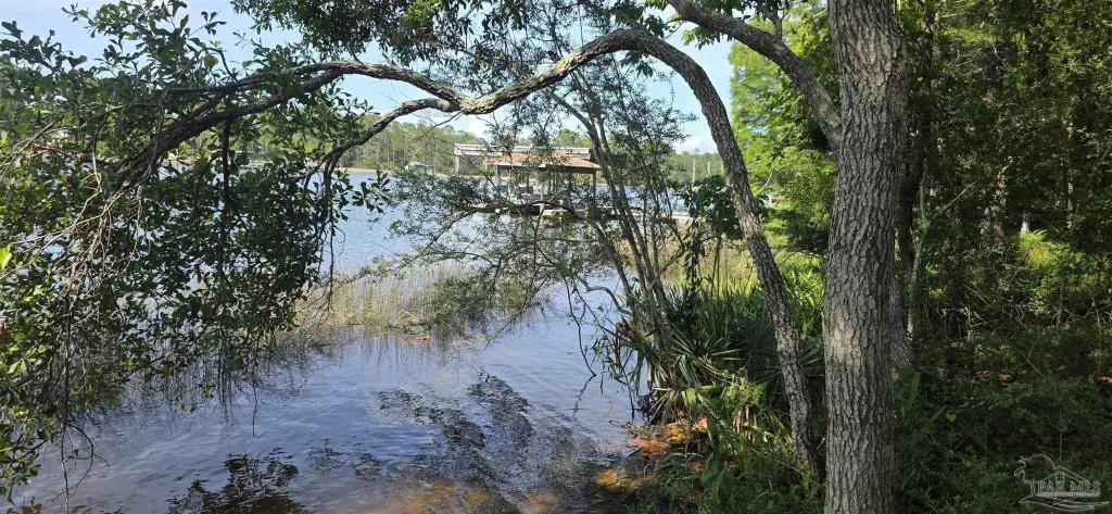 Picture 21