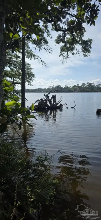 Picture 22