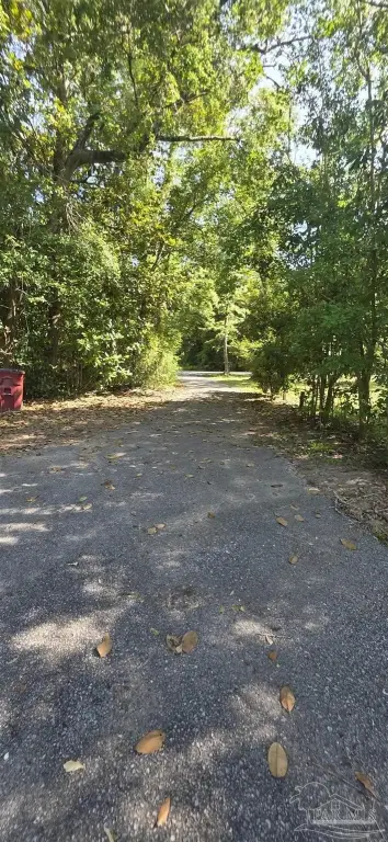 Picture 29