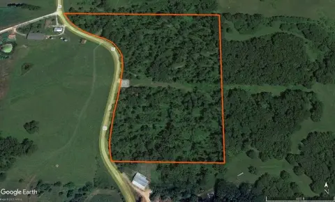 20 Acres Timber Hunting Land