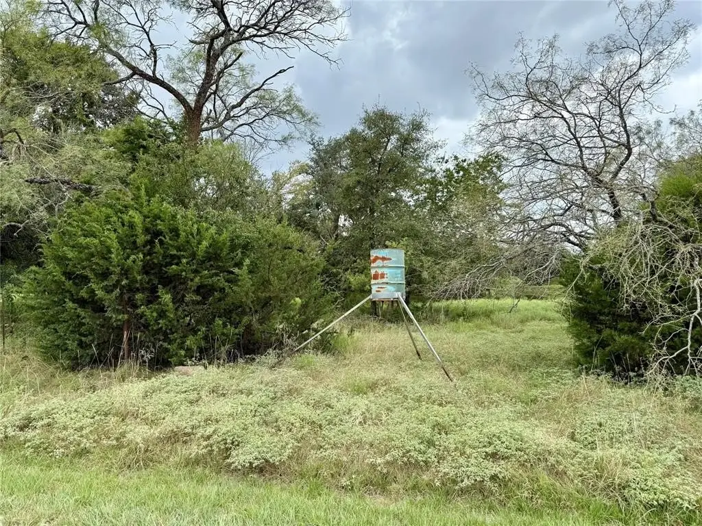 Picture 17