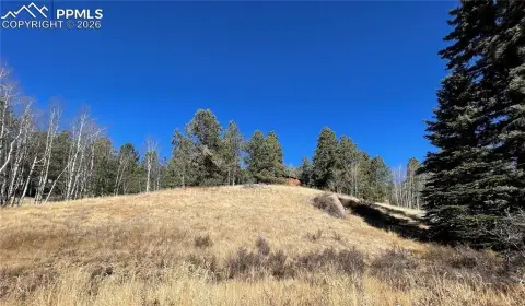 Land in Colorado Mountain Estates