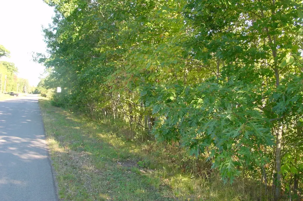 Picture 13