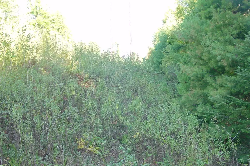 Picture 11