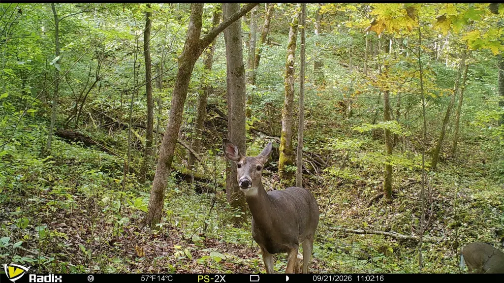 Picture 6