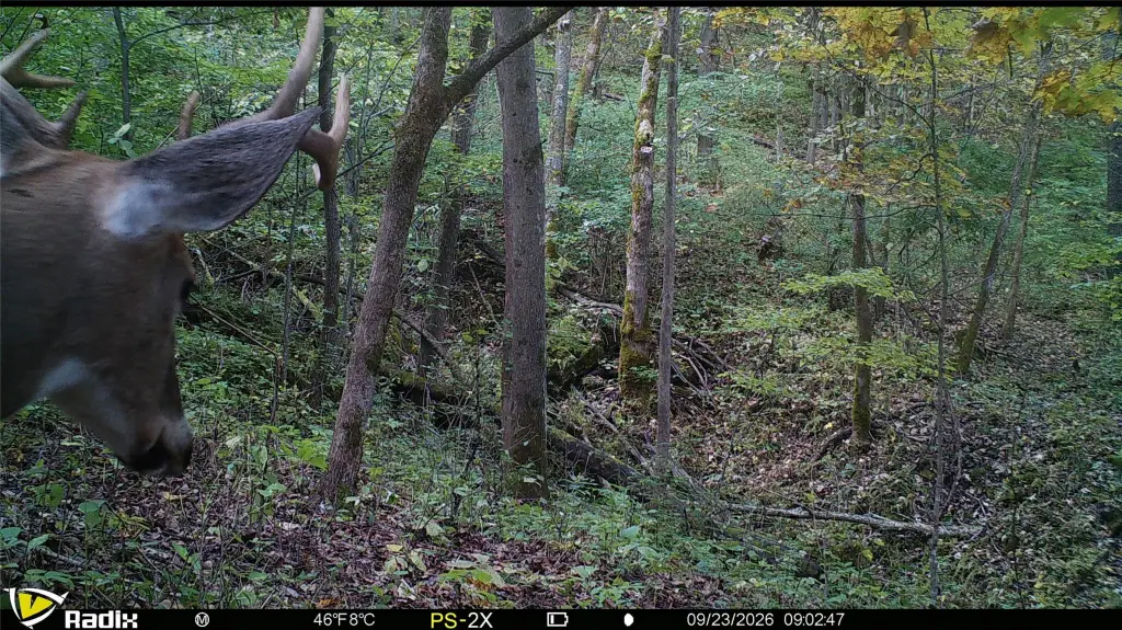 Picture 7